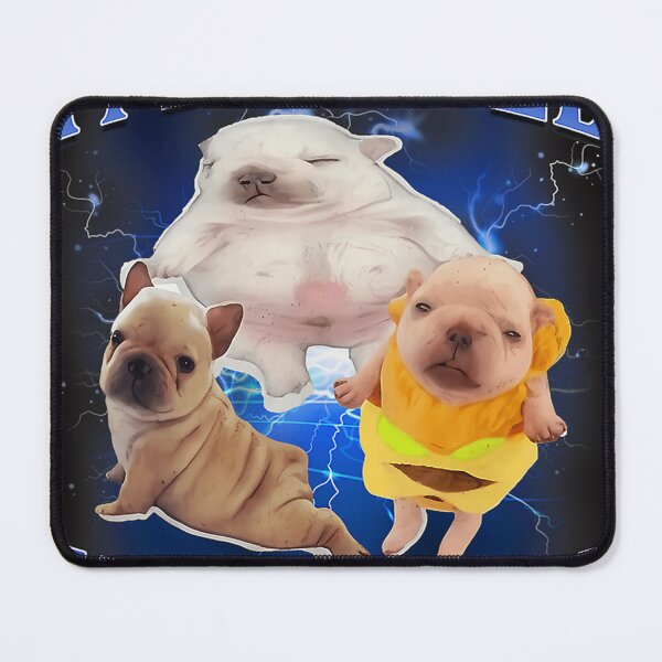 Item preview, Silly Meme I'M Pibble Wash My Belly Clean My Belly Meme designed and sold by FUNKY FELLOW.
