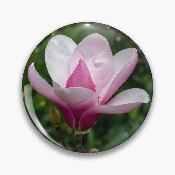 Item preview, Grace of a Pink Magnolia designed and sold by PTB-SHOP.