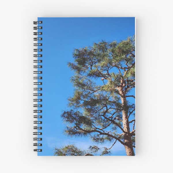 Artikelvorschau, Blauer Himmel und Kiefern entworfen und verkauft von yunee.