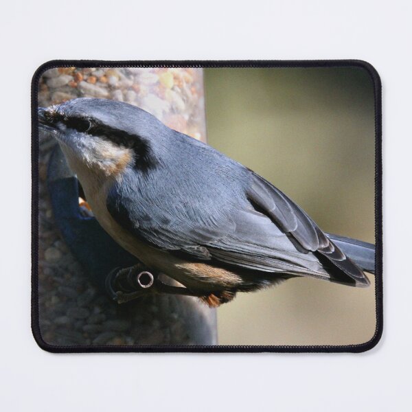 Item preview, nuthatch designed and sold by KathleenDawson.