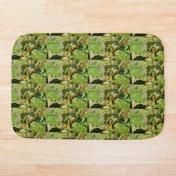 Item preview, Brotes de vid - Promesa de cosecha temprana en Adelaide Hills designed and sold by MagpieSprings.