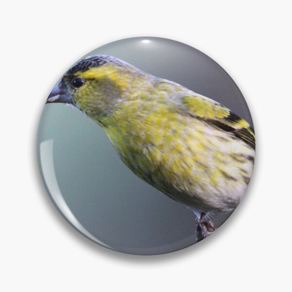 Item preview, siskin designed and sold by KathleenDawson.