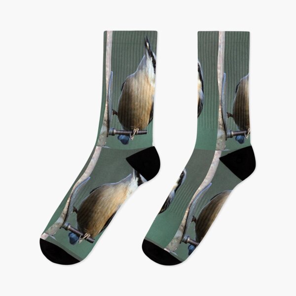 Item preview, nuthatch designed and sold by KathleenDawson.