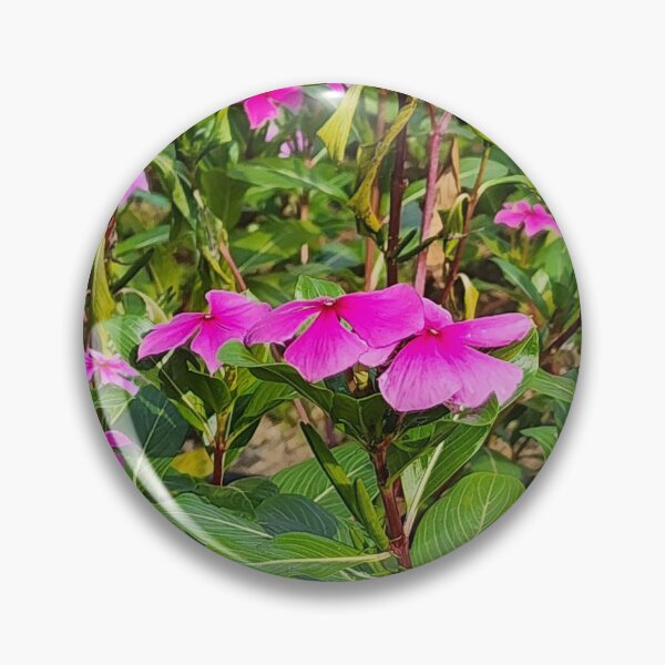 Item preview, A flower bed with beautiful pink flowers. designed and sold by yunee.