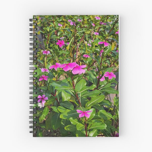 Item preview, Un macizo de flores con hermosas flores rosas. designed and sold by yunee.