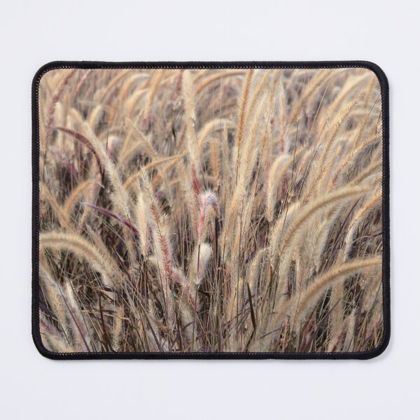 Item preview, Early Morning Grasses designed and sold by Siene Browne.