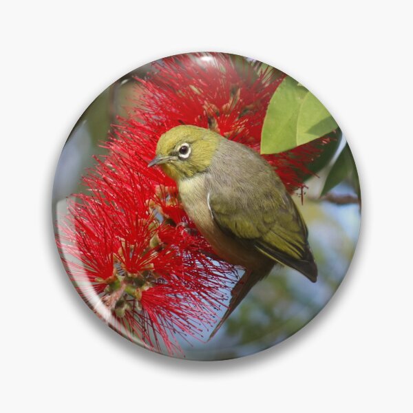 Item preview, Silvereye Bird On Bottlebrush Flower designed and sold by KarenWoodArt.