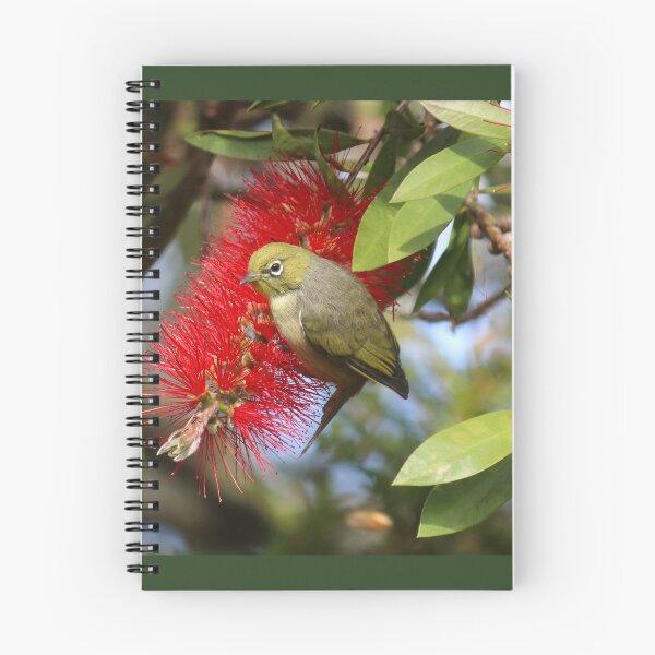 Item preview, Silvereye Bird On Bottlebrush Flower designed and sold by KarenWoodArt.