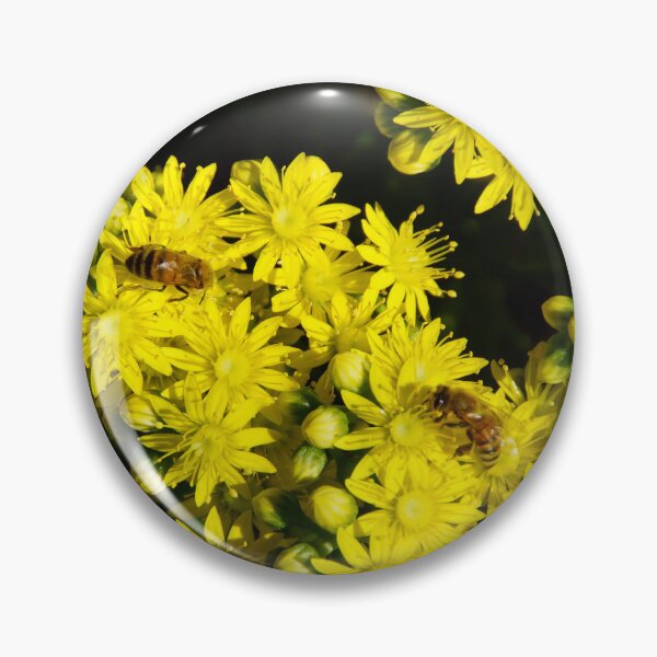 Item preview, Yellow Succulent Flowers with Bees - Spring Pollination designed and sold by MagpieSprings.