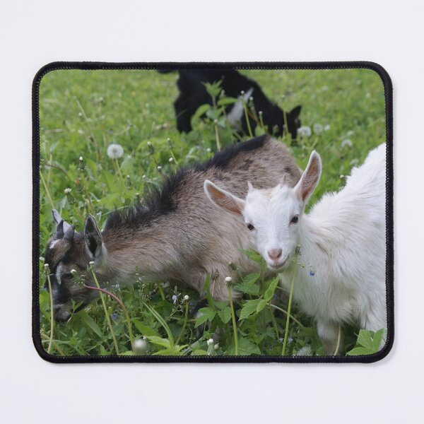 Item preview, Cute Goat grazing designed and sold by SVETLANA ZOLOTAREVA.