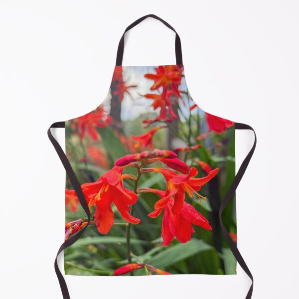 Item preview, Crocosmia 'Lucifer' / montbretia designed and sold by Photopat.