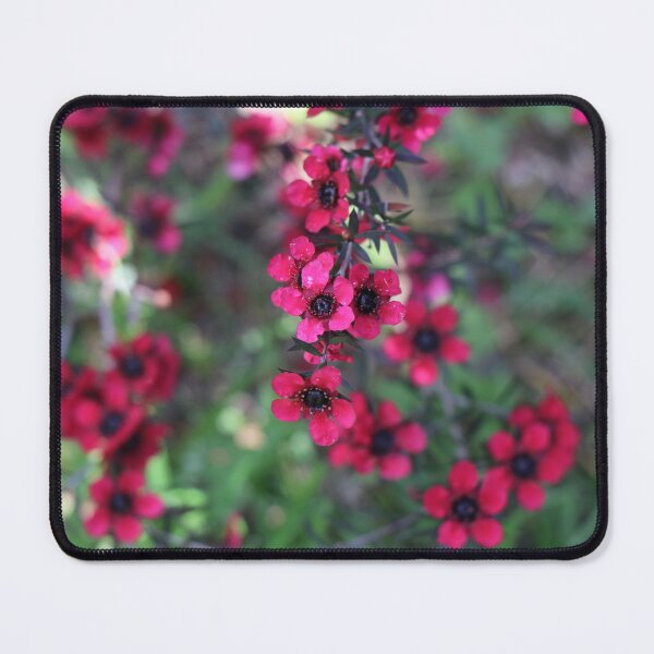 Item preview, Red Flowered Manuka designed and sold by KarenWoodArt.