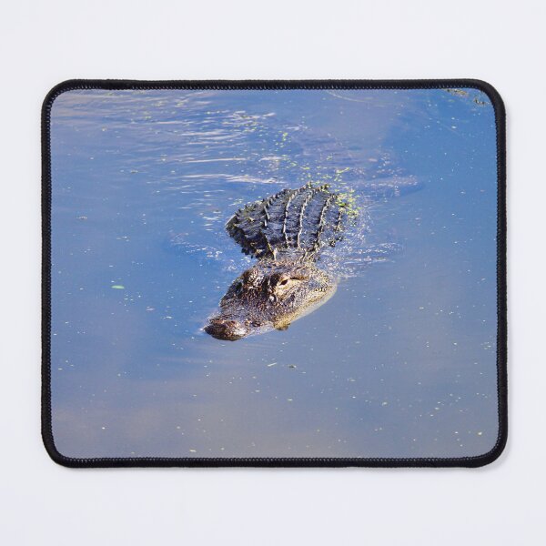 Item preview, Florida Alligator Gliding Through Still Water designed and sold by Mandy-Sue.