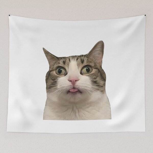 Item preview, Confused Derp Cat designed and sold by k3rstman1.