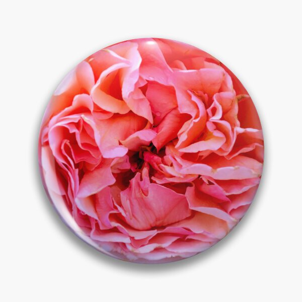 Item preview, Vibrant Pink Rose Bloom designed and sold by MercerImages.