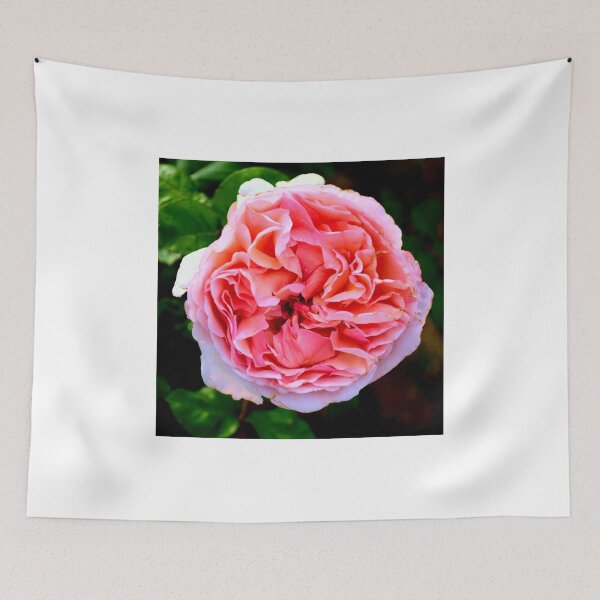 Item preview, Vibrant Pink Rose Bloom designed and sold by MercerImages.