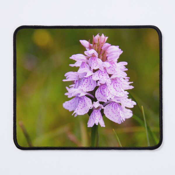 Item preview, Hebridean Spotted Orchid designed and sold by Kasia Design.