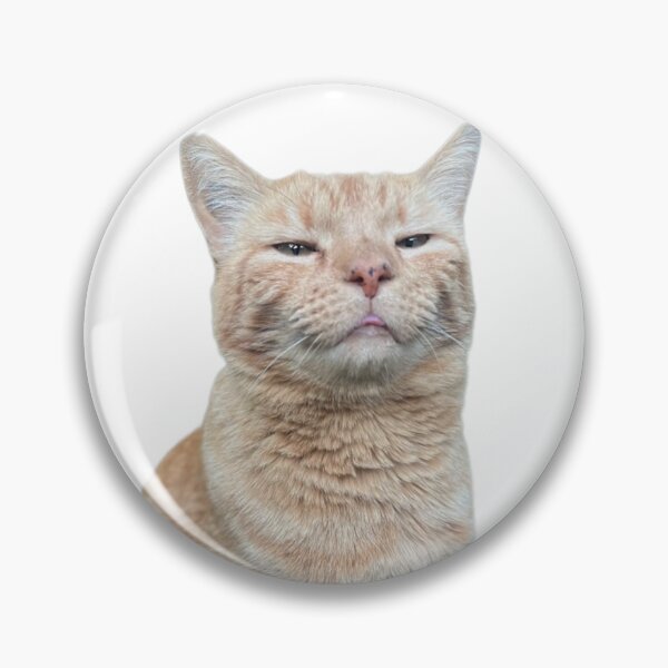 Artikelvorschau, Meine Katze Tigger entworfen und verkauft von UncleBoobs .