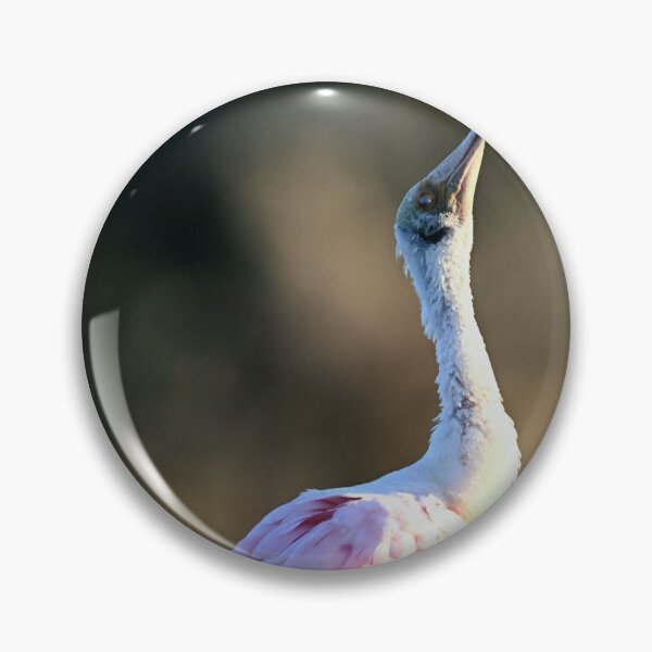 Item preview, Full Extension  designed and sold by Glennphotos.