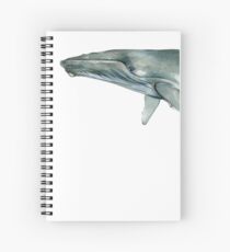 Cuaderno de espiral Ballena jorobada