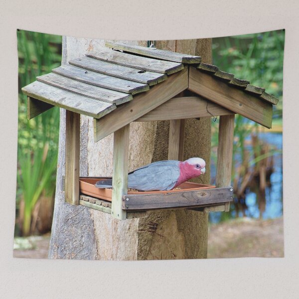 Item preview, Australian Galah designed and sold by W E NIXON  PHOTOGRAPHY.