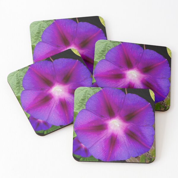Item preview, Good morning Glory by Sotero designed and sold by SOTERO ART.