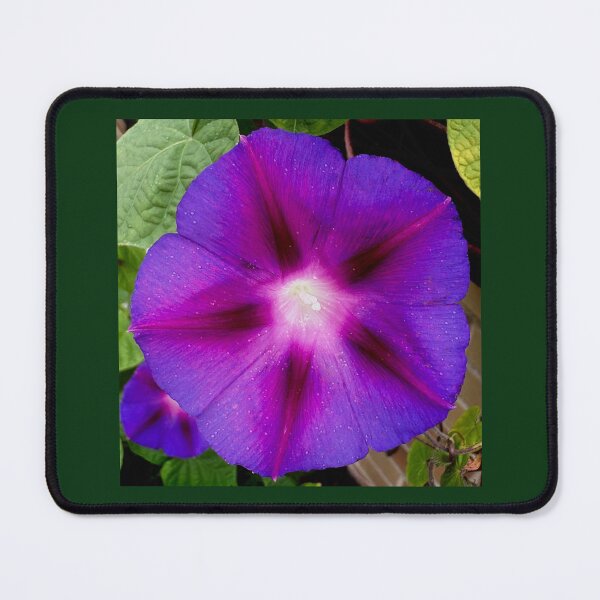 Item preview, Good morning Glory by Sotero designed and sold by SOTERO ART.