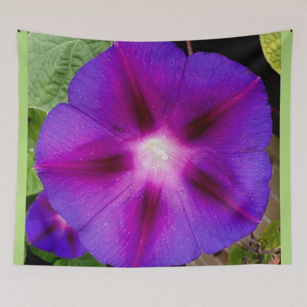 Item preview, Good morning Glory by Sotero designed and sold by SOTERO ART.