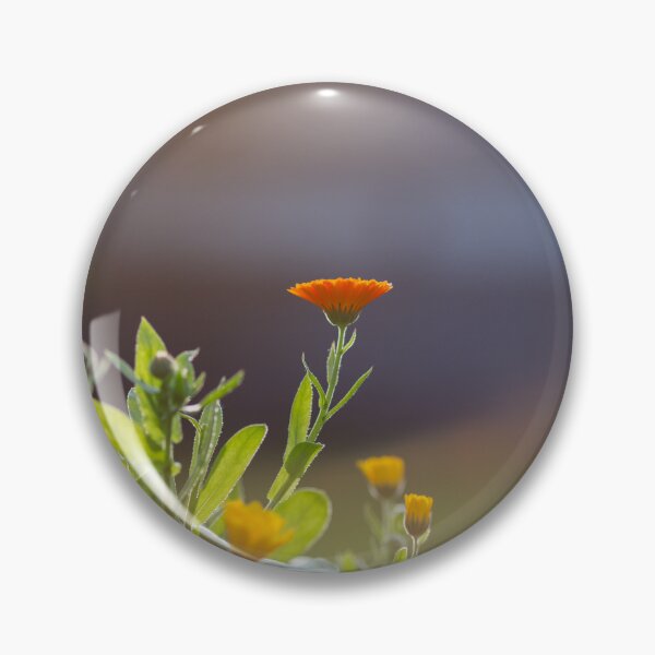Item preview, Calendula flowers in sunlight designed and sold by ewawrona.