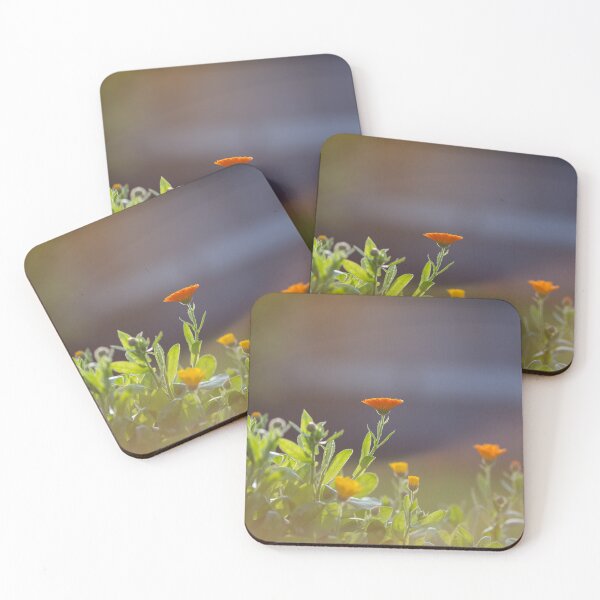 Item preview, Calendula flowers in sunlight designed and sold by ewawrona.