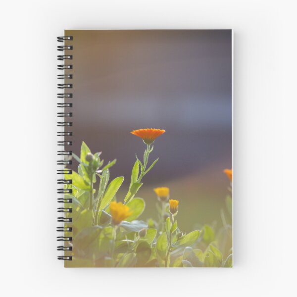 Item preview, Calendula flowers in sunlight designed and sold by ewawrona.