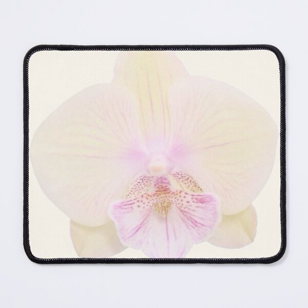 Item preview, yellow pink pastel orchid flower sticker designed and sold by inainart.