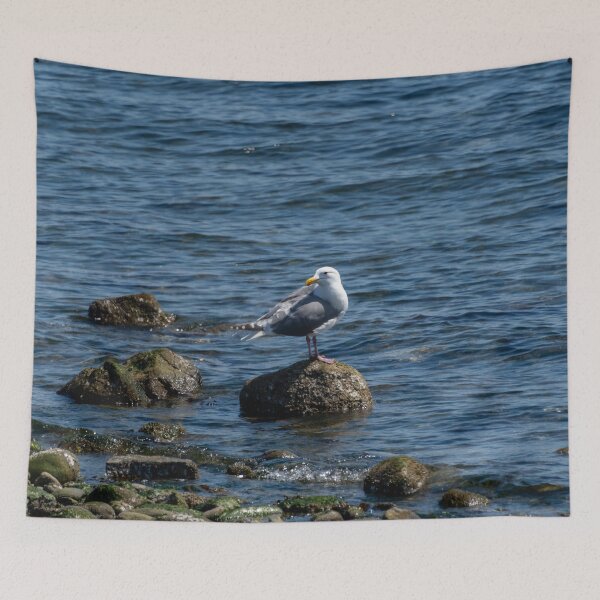 Item preview, Seagull on a Rock designed and sold by TinyDinoDesigns.