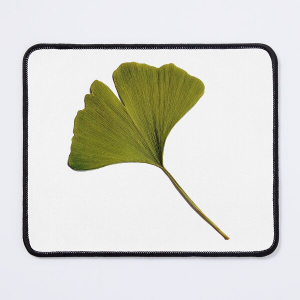 Item preview, Ginkgo Biloba Art Photography Gingko Leaf designed and sold by Carl's Clothing.