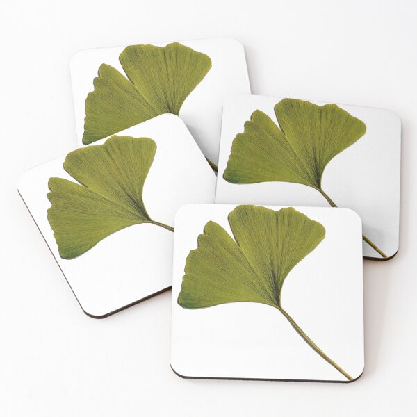 Item preview, Ginkgo Biloba Art Photography Gingko Leaf designed and sold by Carl's Clothing.