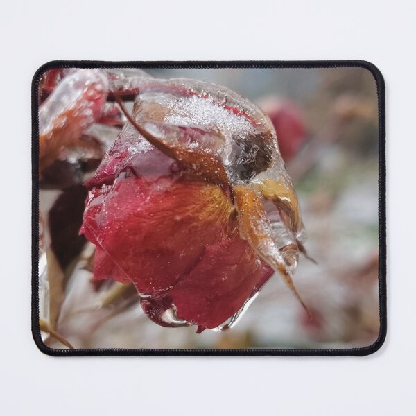 Item preview, Enriched Etchings designed and sold by SCTBUFFALOPHOTO.