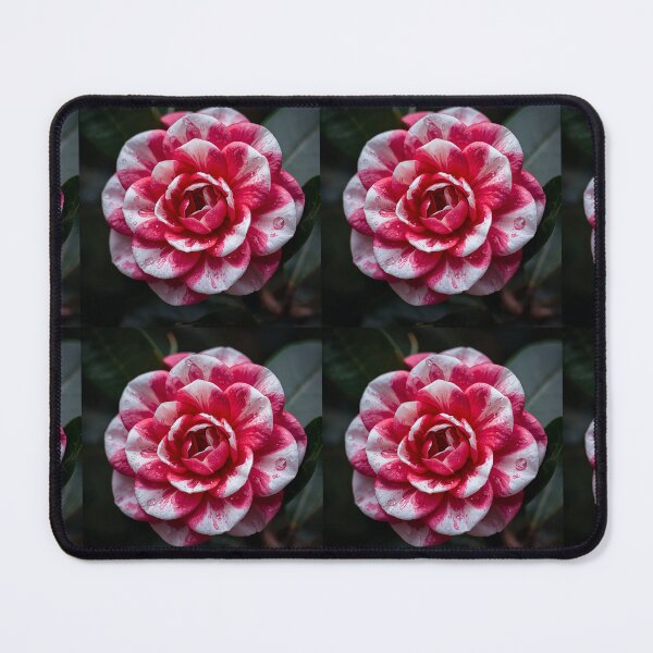 Item preview, The Heart of a Flower designed and sold by PTB-SHOP.