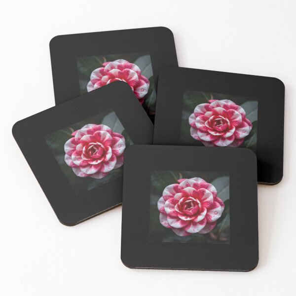 Item preview, The Heart of a Flower designed and sold by PTB-SHOP.