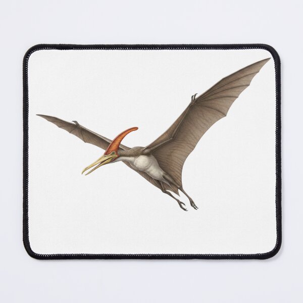 Item preview, Pteranodon: The Sovereign of the Skies designed and sold by Chaoscience.