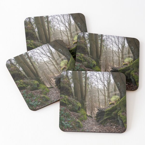Item preview, Mossy forest path – rooted silence in the morning light designed and sold by MarkusUrbex.