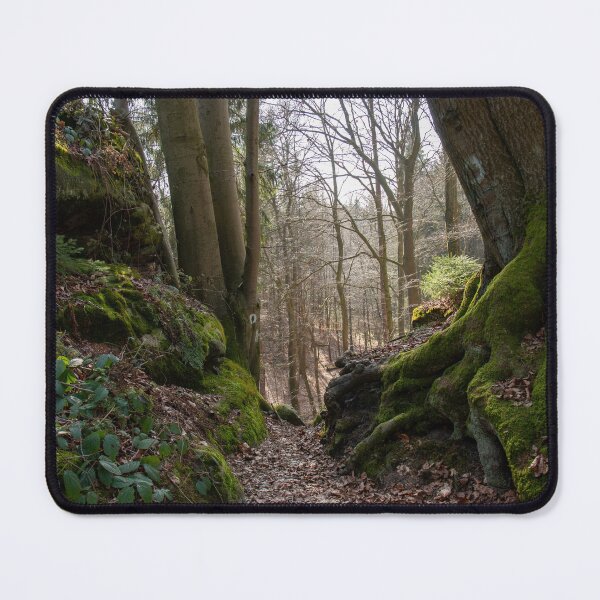 Item preview, Mossy forest path – rooted silence in the morning light designed and sold by MarkusUrbex.