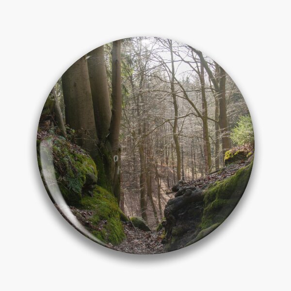 Item preview, Mossy forest path – rooted silence in the morning light designed and sold by MarkusUrbex.