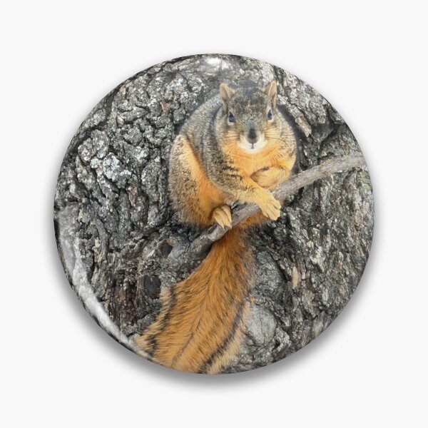 Item preview, Squirrel Interrupted designed and sold by CosmicGrant.