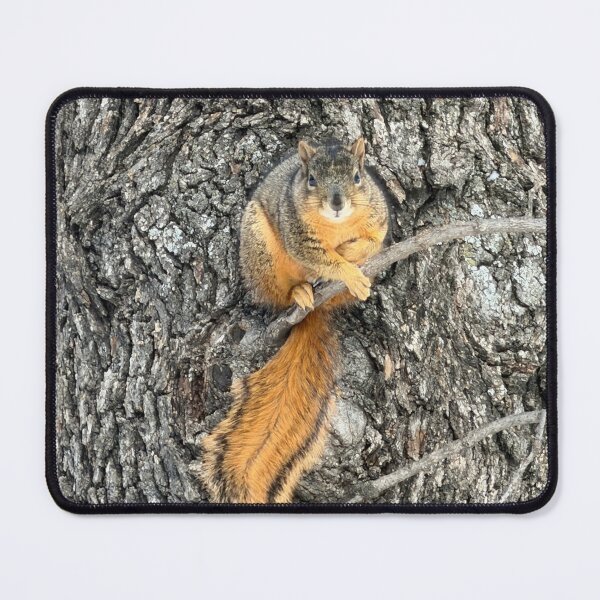 Item preview, Squirrel Interrupted designed and sold by CosmicGrant.