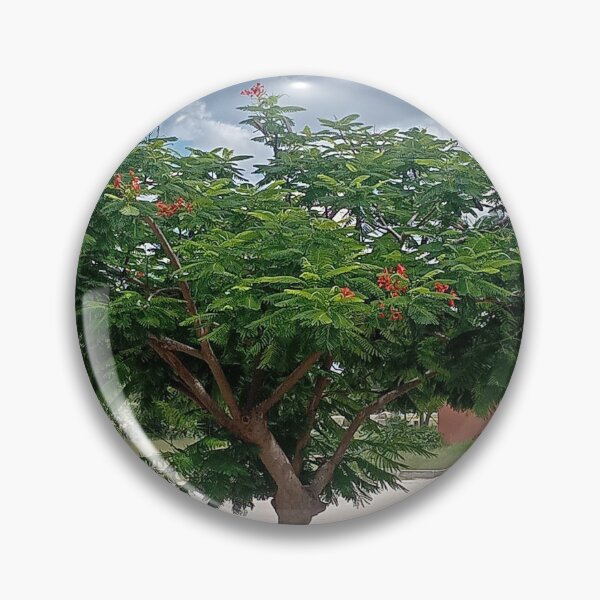 Item preview, Vibrant Flame Tree in Eehana, Nothern Namibia - Nature Photography designed and sold by Orange Petals Studio.