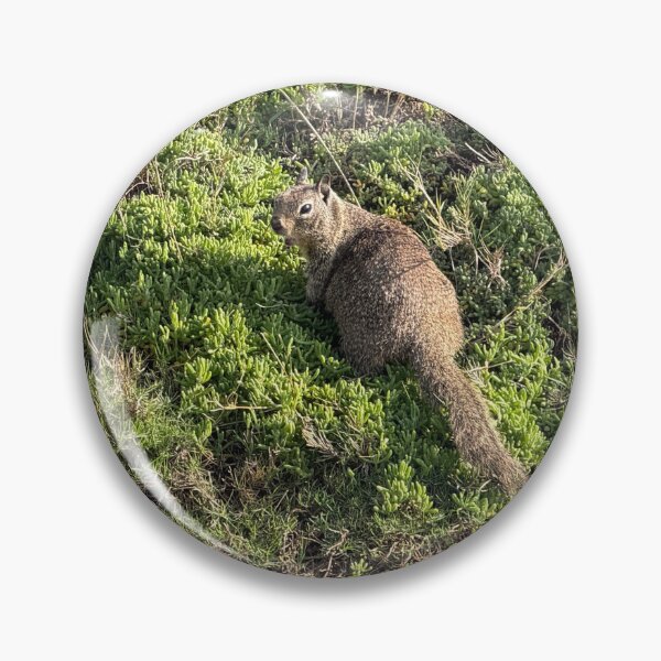 Item preview, California Ground Squirrel designed and sold by CosmicGrant.