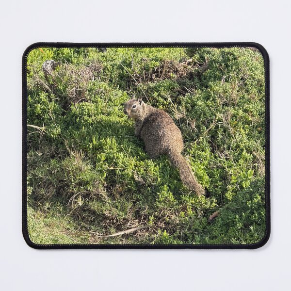 Item preview, California Ground Squirrel designed and sold by CosmicGrant.