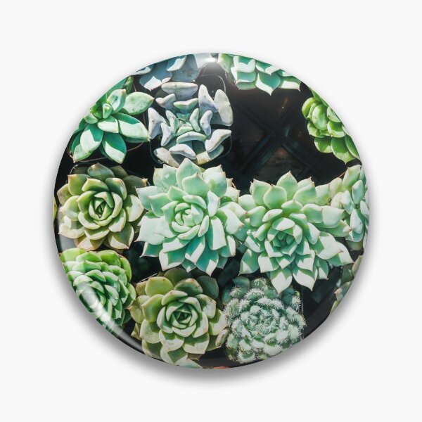 Item preview, Succulents All In a Row 2 designed and sold by Douglas E. Welch Design and Photography.