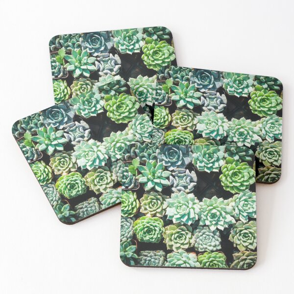 Item preview, Succulents All In a Row 2 designed and sold by Douglas E. Welch Design and Photography.