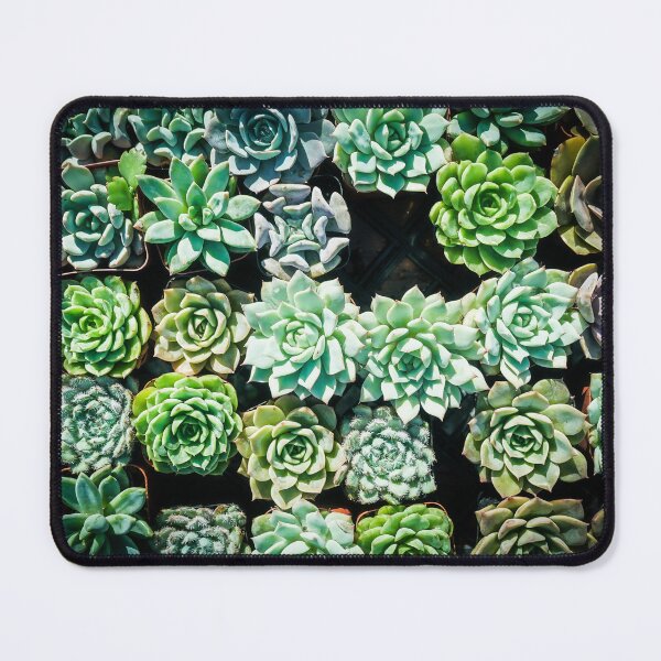 Item preview, Succulents All In a Row 2 designed and sold by Douglas E. Welch Design and Photography.